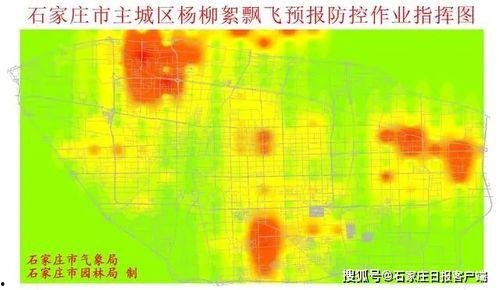 石家庄杨柳絮最新爆料,漫天飞絮扰民，应对措施全解析